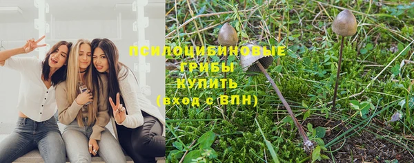 гидропоника Горно-Алтайск