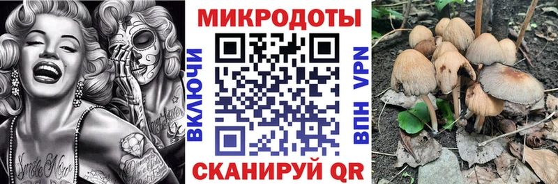 Галлюциногенные грибы ЛСД  купить  сайты  Зверево 